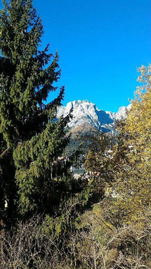 Balcone Sulle Dolomiti 2 Apartment Dosoledo Exterior photo